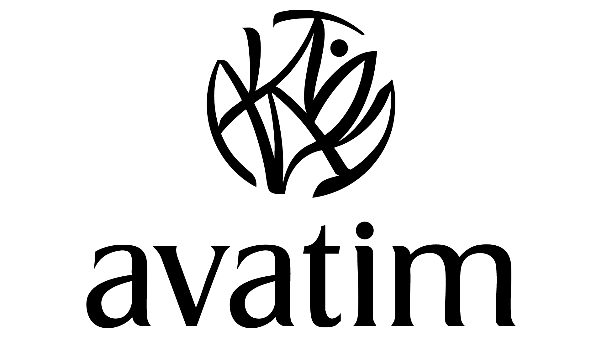 AVATIM-LOGO
